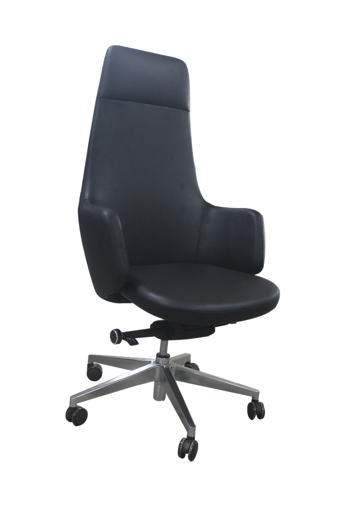 FAUTEUIL PRESIDENT FP-5021A